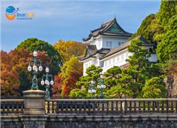 Tour Nhật Bản Mùa Thu 6N5Đ: Cung Đường Tokyo - Phú Sĩ